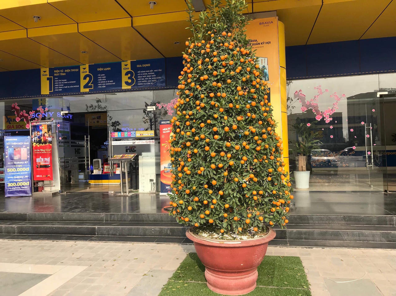 Bồi hồi cảnh sắc Hà Nội những ngày giáp Tết