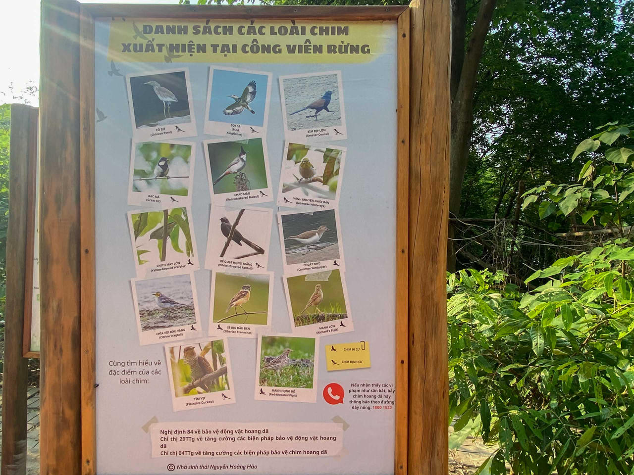 'Biến' bãi rác hôi thối thành công viên rừng giữa lòng Hà Nội