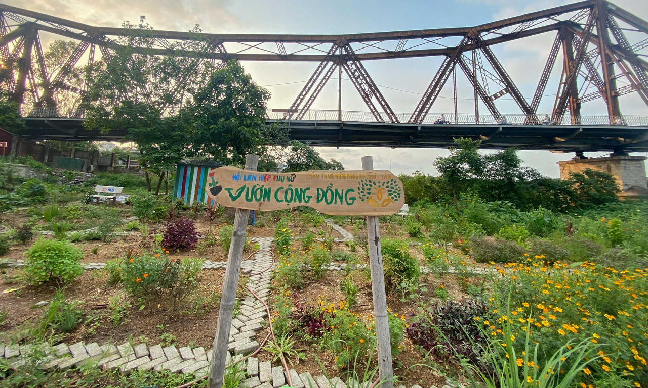 'Biến' bãi rác hôi thối thành công viên rừng giữa lòng Hà Nội