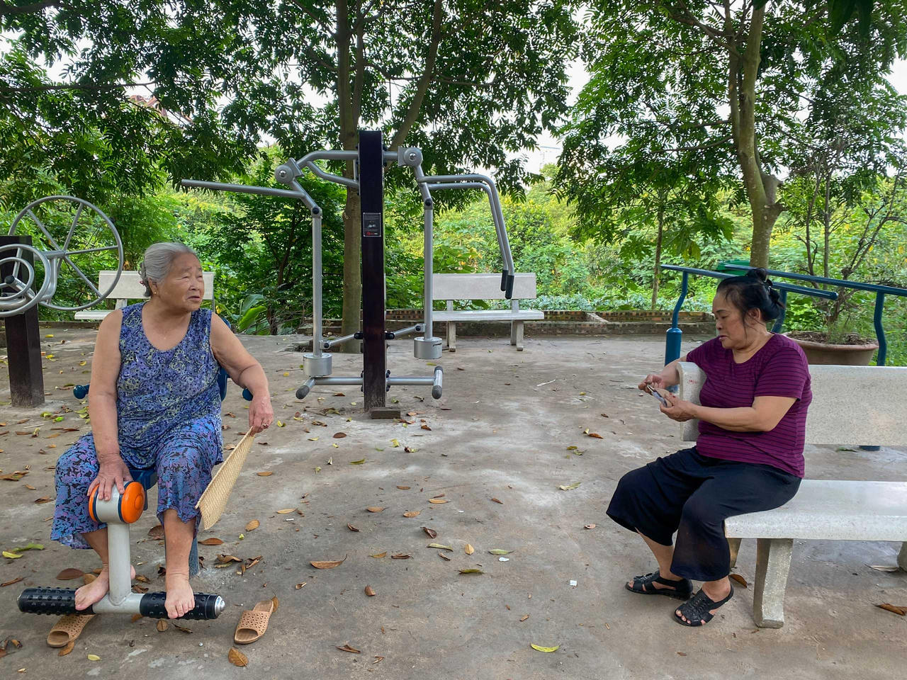 'Biến' bãi rác hôi thối thành công viên rừng giữa lòng Hà Nội