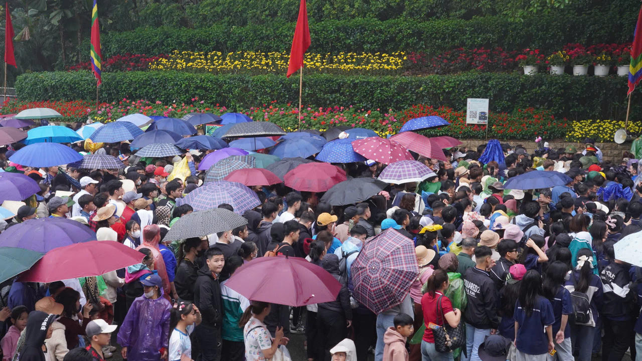 Mưa lớn kéo dài, hàng nghìn người vẫn đổ về dâng hương ngày Giỗ Tổ