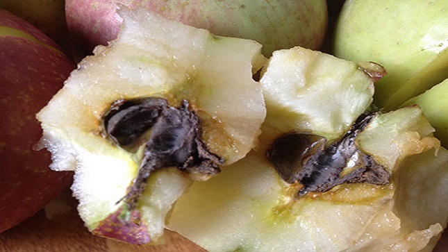 “Bó tay” trước chất “bí hiểm” trên trái câyTrung Quốc