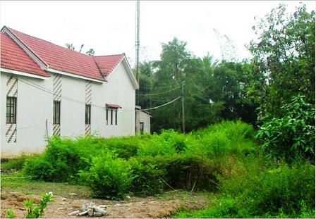 Con gà mái “hư hỏng” khơi mào cuộc tranh cãi “độc nhất vô nhị”