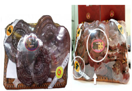 Nấm linh chi có thực sự chữa ung thư gan?