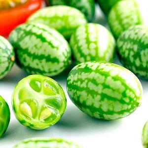 Đổ xô mua dưa hấu tí hon