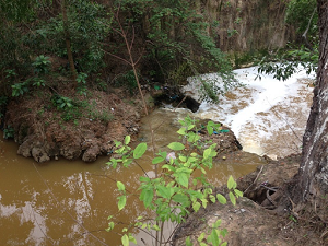 Hiện trường không dấu vết trong vụ giết người, dìm xác dưới mương nước