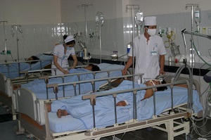 Nhậu bằng mồi cá nóc: Biết chết vẫn cố... “xơi“