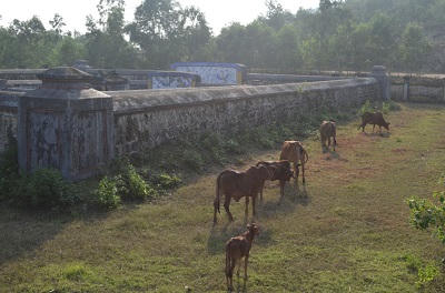 Tiếng “kêu cứu” từ lăng mộ Hiếu Chiêu Hoàng hậu Đoàn Quý Phi