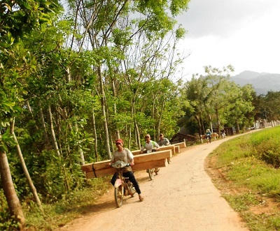 Bình Định: “Nóng” nạn phá rừng, khai thác gỗ