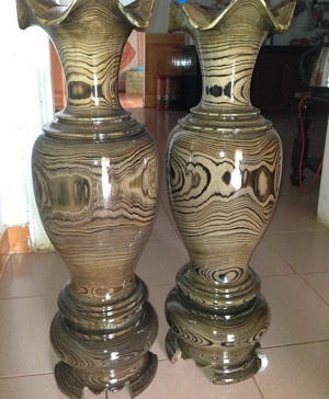 Lời “kêu cứu” của hai loài thông quý Tây Nguyên