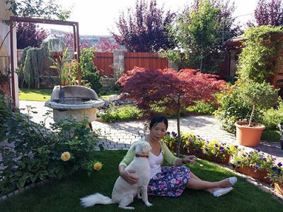 Vườn hồng cực đẹp của một người Việt ở Hungary