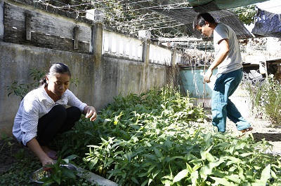 Gây dựng tương lai  ở đảo Song Tử Tây