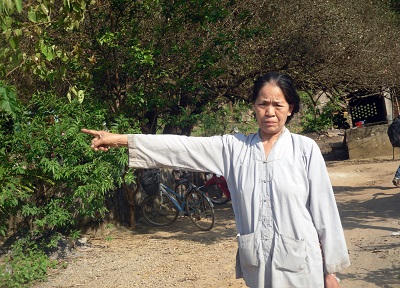 Huyền bí ngôi chùa có báu vật nằm trong tổ mối