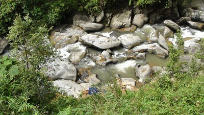 Bắt con nghiện đi trộm gà, cả nhà lĩnh án