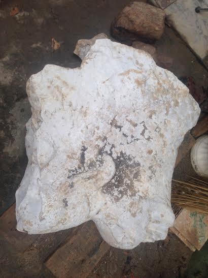 Tìm thấy nghê đá và bia đá có niên đại trên 300 năm