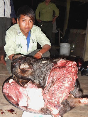 Dùng chó săn đuổi sơn dương rơi xuống vực rồi xẻ thịt