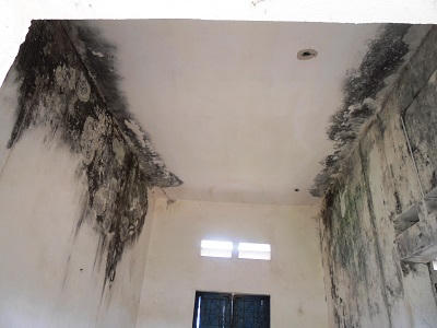 Trạm y tế “đắp chiếu” hai thập kỷ và giấc mơ của người dân