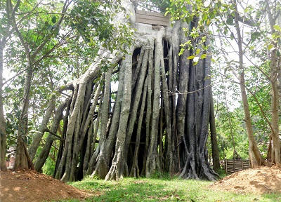 Báu vật vô giá của người Tân Trào