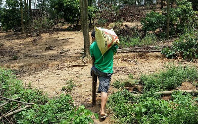 Tỷ phú trồng rừng bằng… khuỷu tay