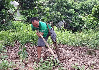 Tỷ phú trồng rừng bằng… khuỷu tay