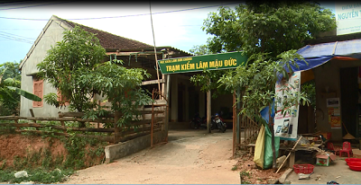 Nghệ An: "lâm tặc" rầm rộ khai thác rừng, chính quyền "không nghe, không thấy"?