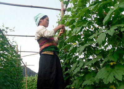 Khám phá bản “hồng hoang”  ngủ quên trên độ cao 2000 mét