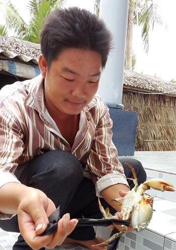 ” Thánh cua” làm náo loạn giới thương lái Cà Mau