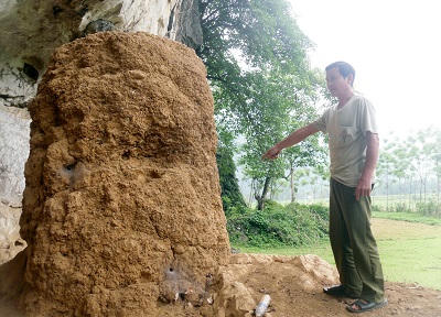 Lạ kỳ bản Mường thờ tổ mối cạnh di tích Mái Đá Điều