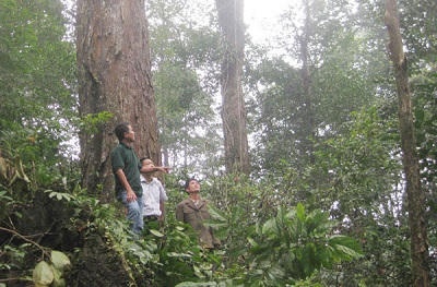 “Kho báu ngàn cổ” linh thiêng trên núi đá