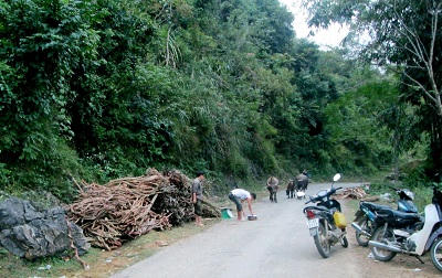 Bất chấp tính mạng để săn "lộc trời"