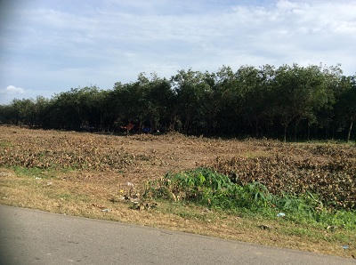 Giao đất không qua đấu giá, Nhà nước có nguy cơ mất hàng trăm tỷ đồng