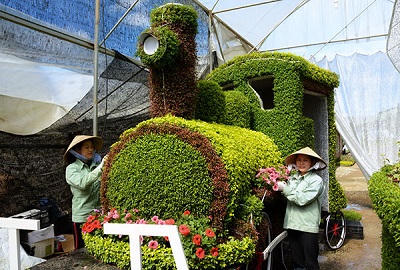 Đà Lạt náo nức trước giờ khai mạc Festival Hoa 2015