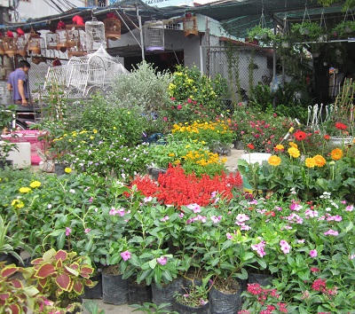 Về chợ Hàng đất Cảng săn hàng “độc”