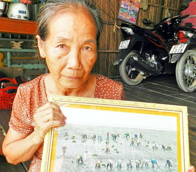 Đội quân xoá cầu khỉ và "chủ tịch" đoàn cấy mướn của người nghèo