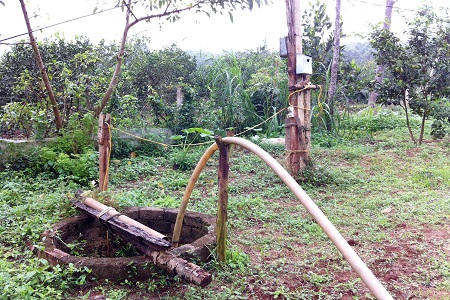 “Đại gia chân đất”  kiếm bạc tỷ nhờ trồng cam