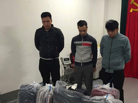 Thu giữ 180 kg ngà voi châu Phi tại sân bay Nội Bài