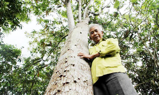 Cuộc “chinh phục” của người Mường trên đất Quảng