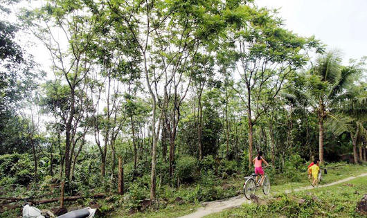 Cuộc “chinh phục” của người Mường trên đất Quảng