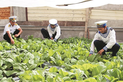 Tết ấm ở đảo Tiền