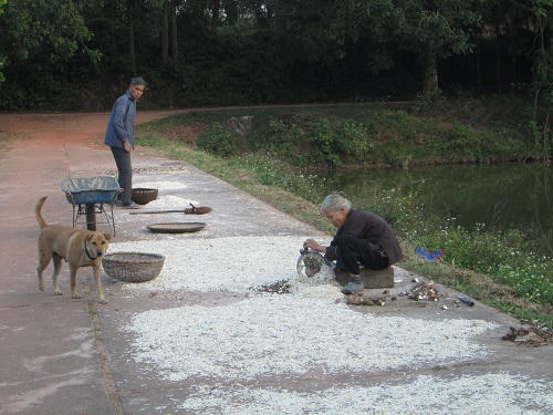 Chuyện cảm động ở trại phong