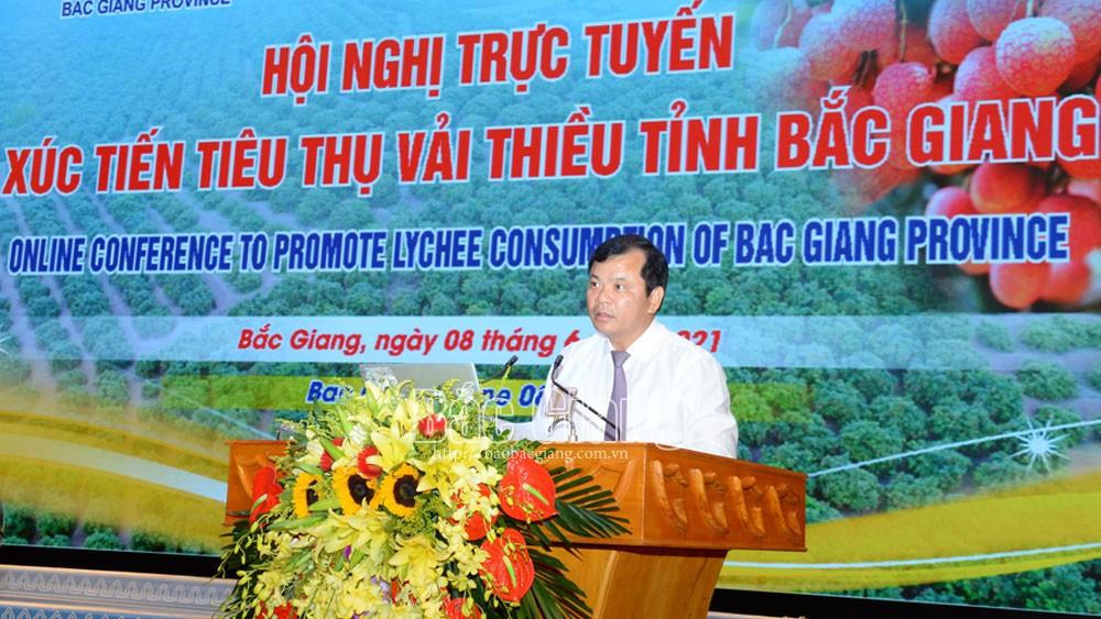 Vải thiều Bắc Giang chất lượng cao nhất từ trước đến nay
