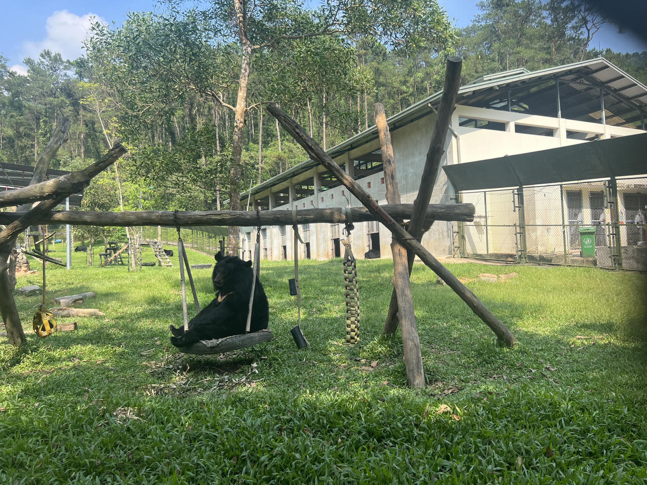 Vụ án hình sự về động vật hoang dã đang có chiều hướng gia tăng