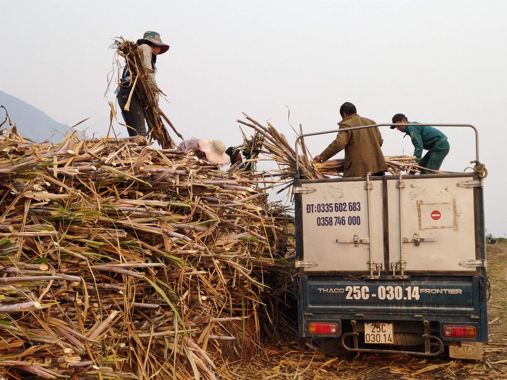CIEM kiến nghị cân nhắc đánh thuế tiêu thụ đặc biệt đối với nước giải khát có đường