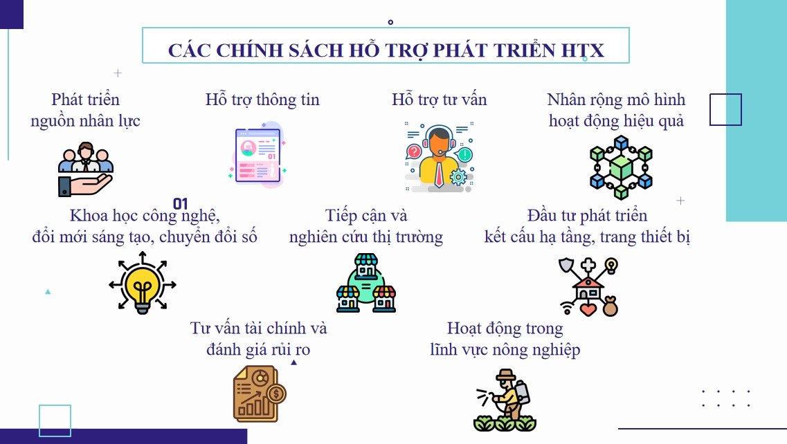 Tiếp tục hoàn thiện chính sách phát triển khu vực kinh tế hợp tác