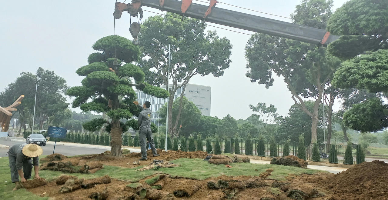 NIC Hòa Lạc trước thềm khai trương: Xây tổ đón 'đại bàng'