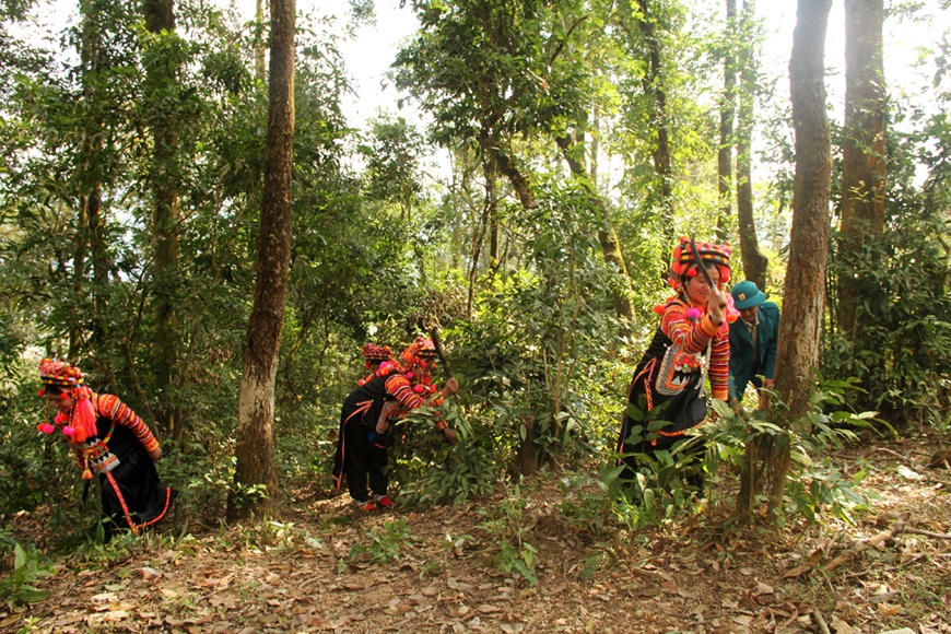 Thu được 41,2 triệu USD đợt 1, Bộ NN&PTNT đề xuất bán thêm 5,9 triệu tấn CO2