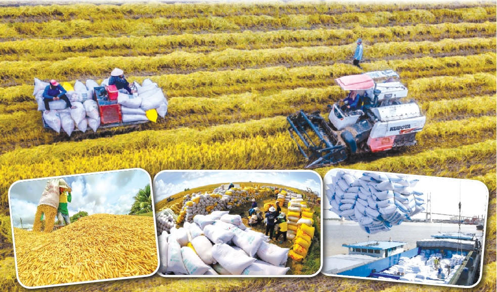 Thủ tướng đề nghị ngành Nông nghiệp 'thừa thắng xông lên'