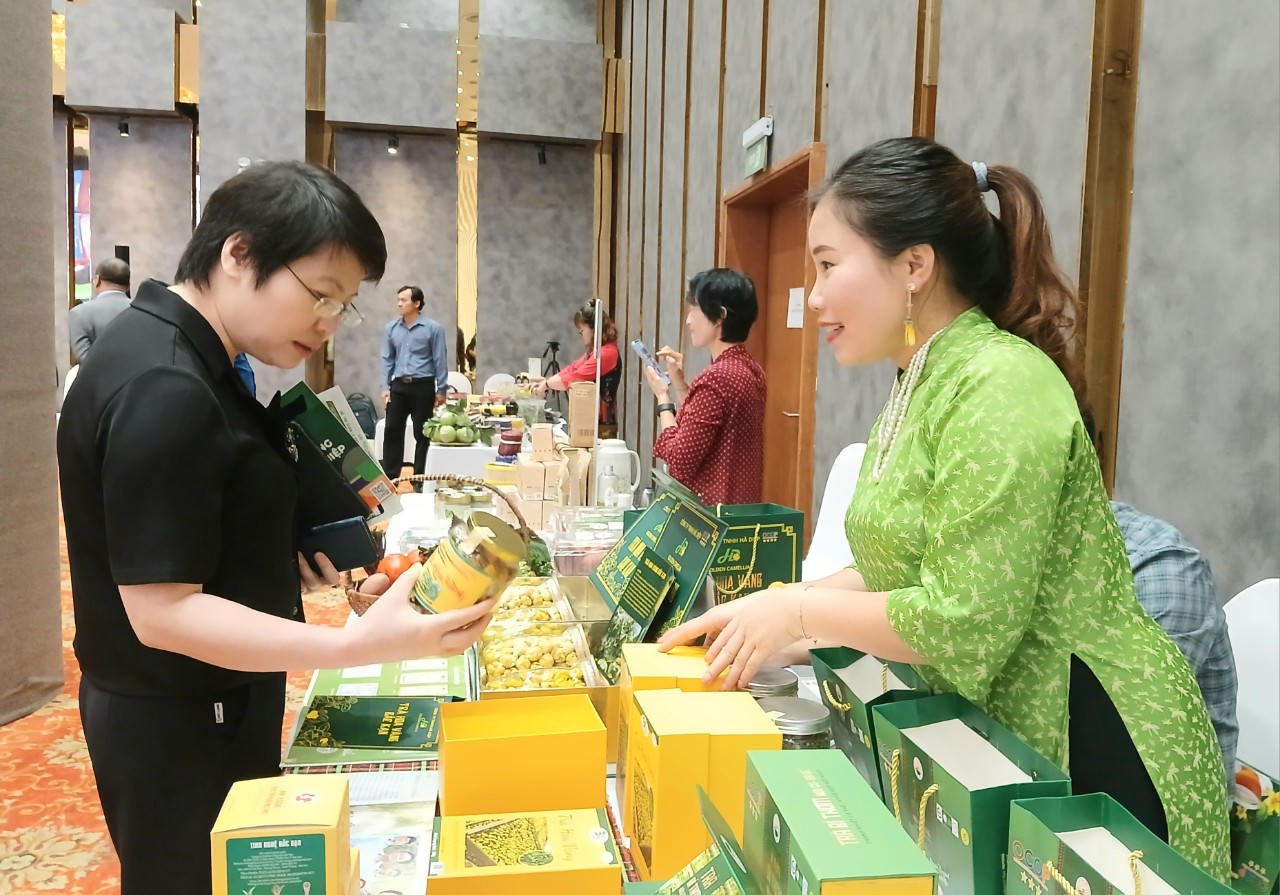 Còn nhiều bất cập về cơ chế lồng ghép nguồn lực các Chương trình mục tiêu quốc gia