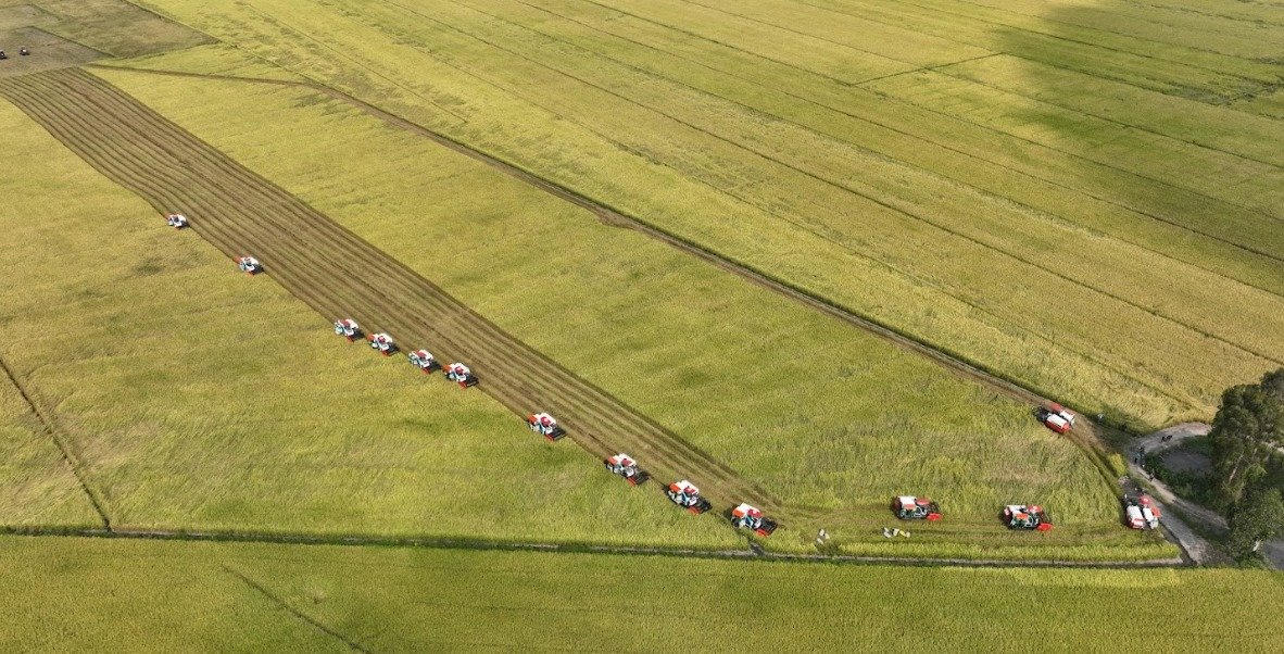 Lộc Trời đẩy mạnh cấu trúc tài chính để chủ động sản xuất kinh doanh