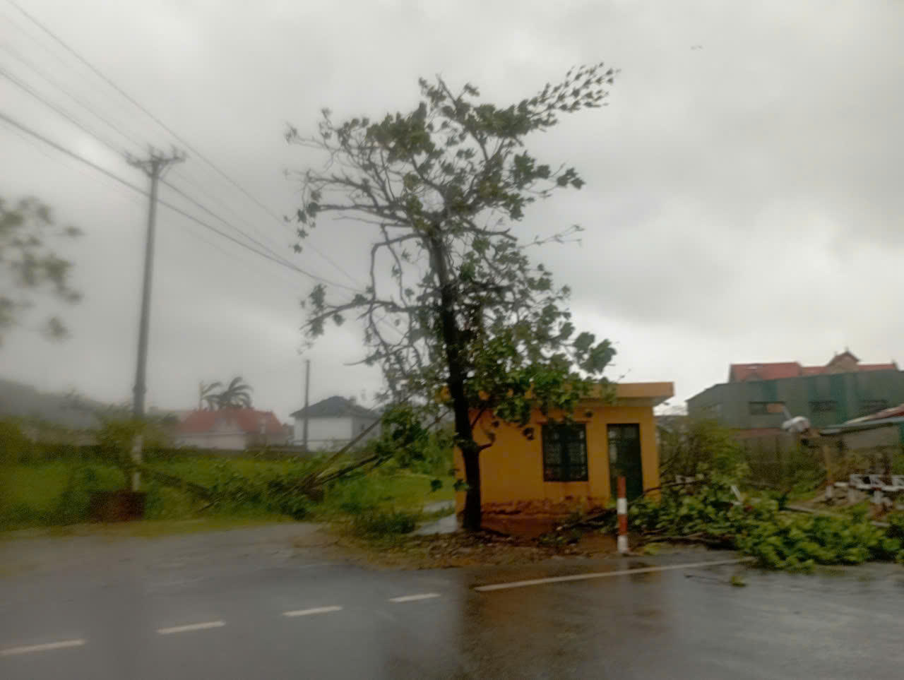 Hủy hơn 20 chuyến tàu do bão số 3